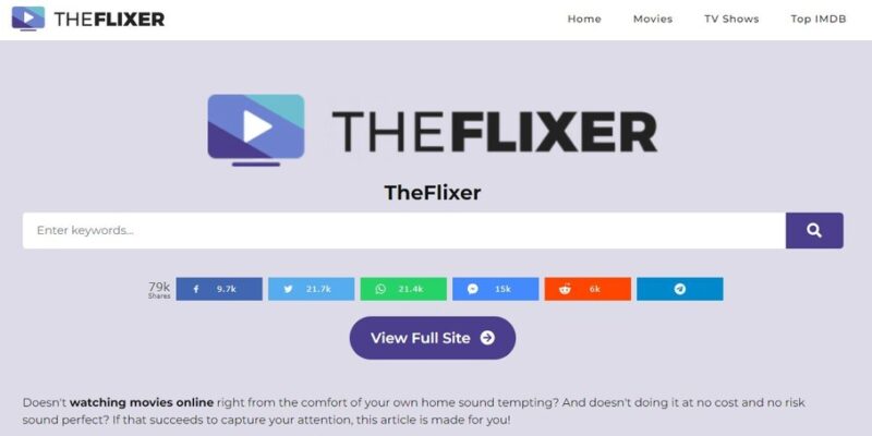 Step 1 - Visit TheFlixer Website: