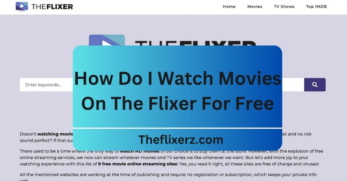 How Do I Watch Movies On TheFlixer For Free? Must Read!