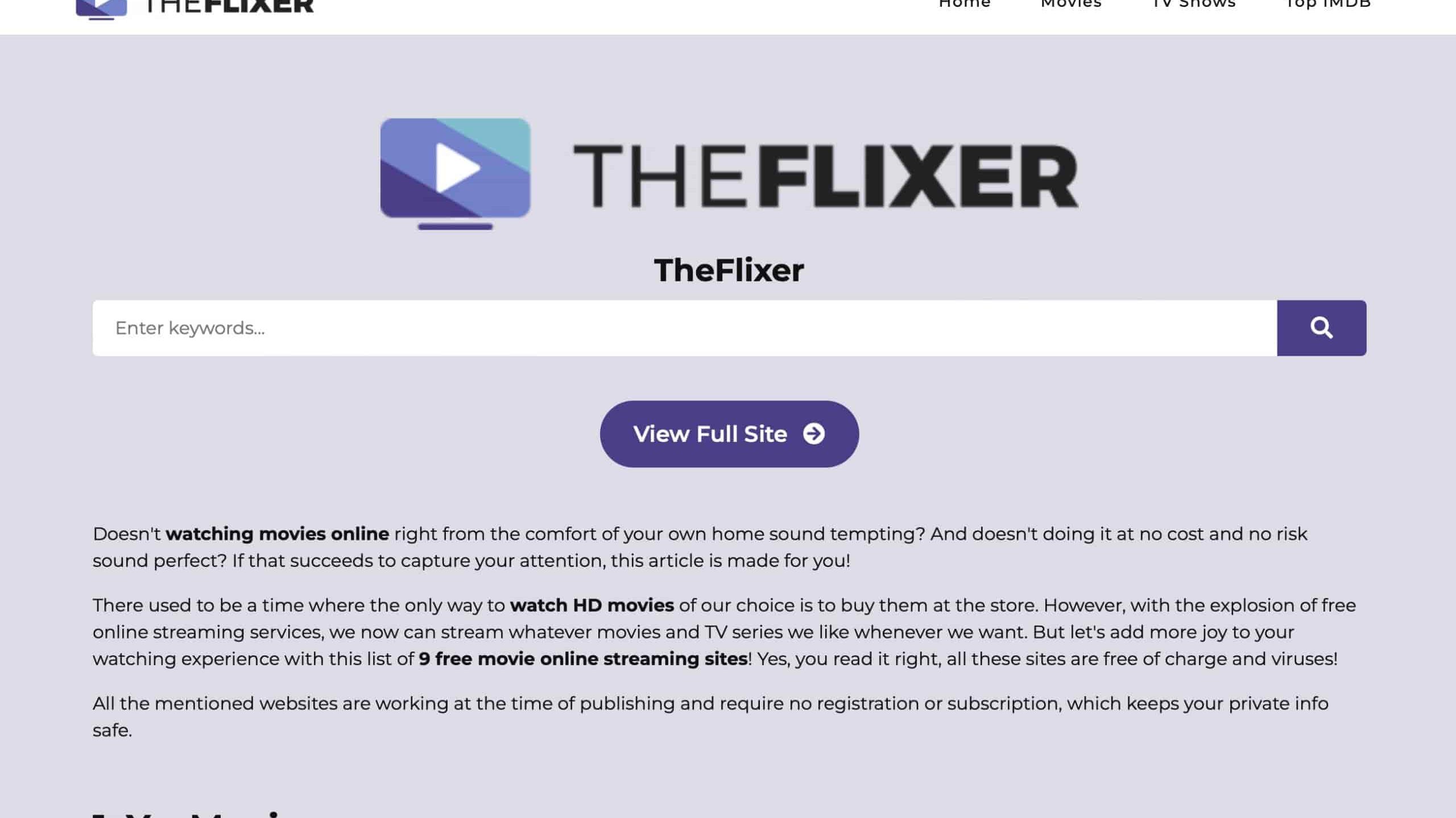 Visit TheFlixer Website