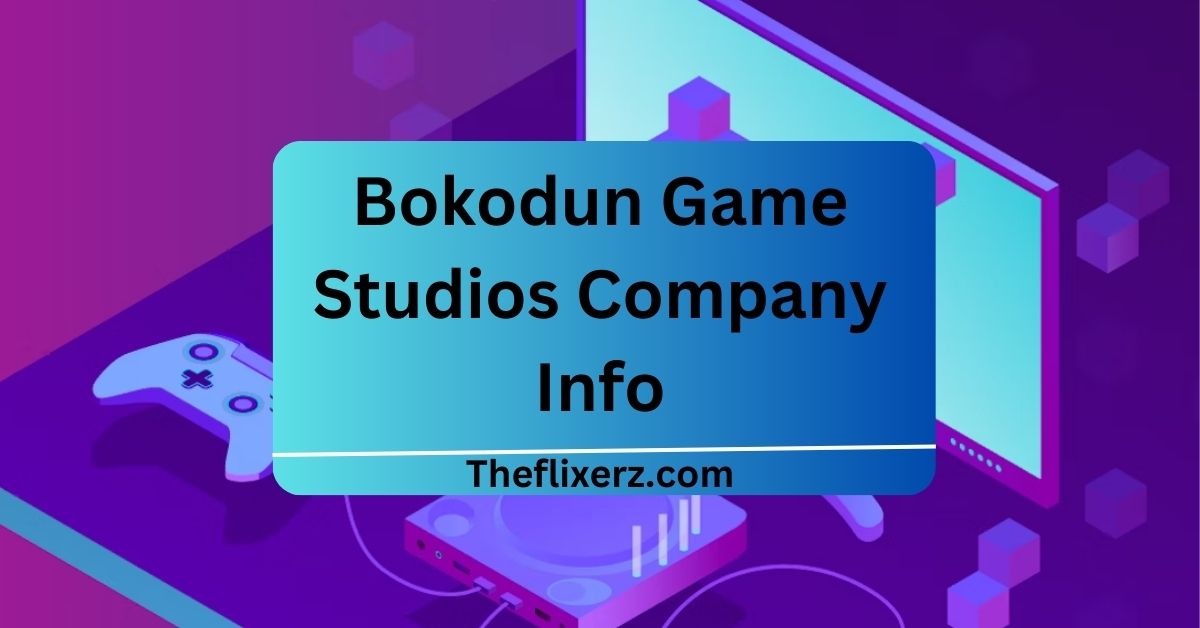 Bokodun Game Studios Company Info