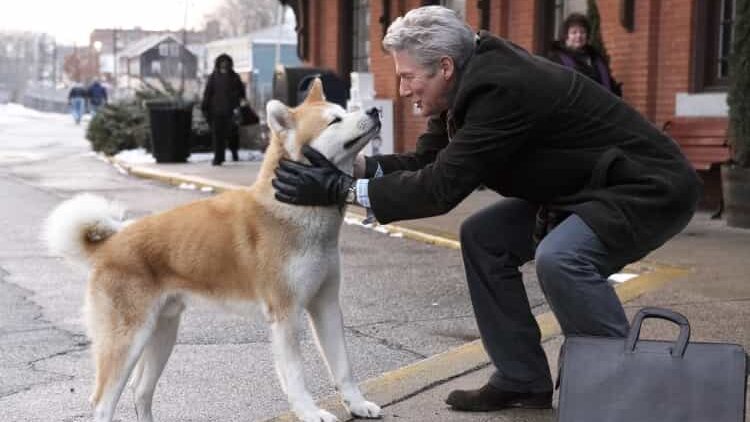  Significant Of Hachiko’s Story