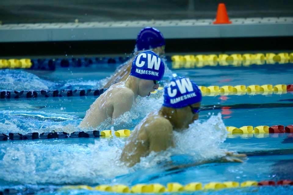 Swimswam's Impact on the Swimming Community