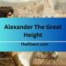 Alexander The Great Height