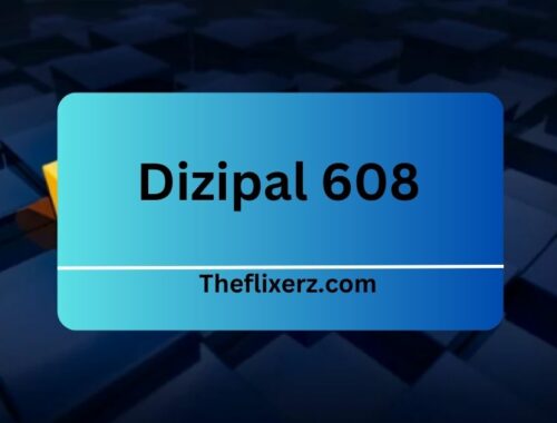 Dizipal 608