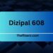 Dizipal 608