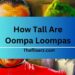 How Tall Are Oompa Loompas