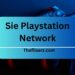 Sie Playstation Network