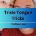 Trixie Tongue Tricks