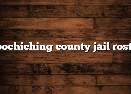 koochiching county jail roster