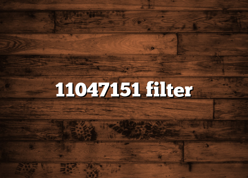 11047151 filter