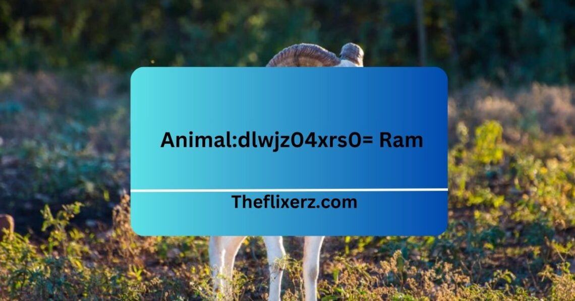 Animal:dlwjz04xrs0= Ram