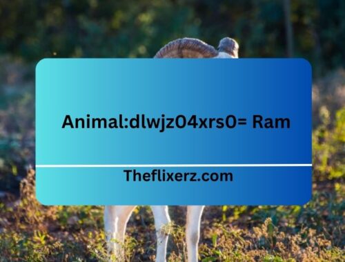 Animal:dlwjz04xrs0= Ram